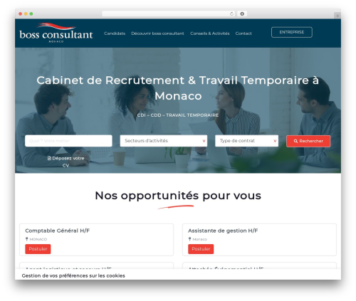 Scape core WordPress plugin - boss-interim.net
