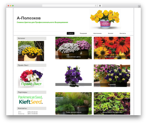 Simple Grid Theme Responsive WordPress theme - a-polozkov.com