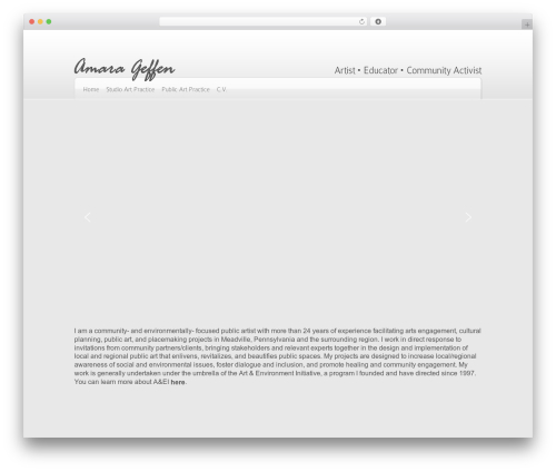Wp showcase WordPress plugin - amarageffenstudios.com