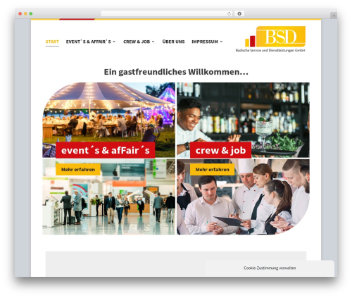 Theme WordPress Divi - badische-gmbh.de