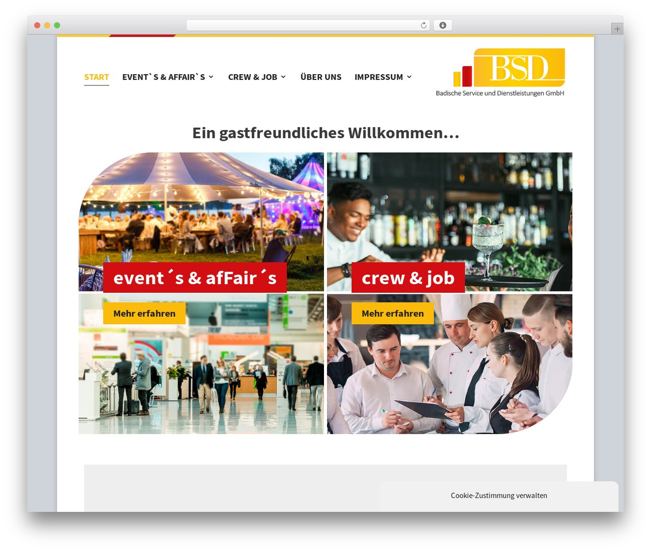 Theme WordPress Divi - badische-gmbh.de