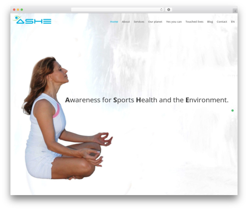 WellSpring WordPress theme design - ashewellness.com
