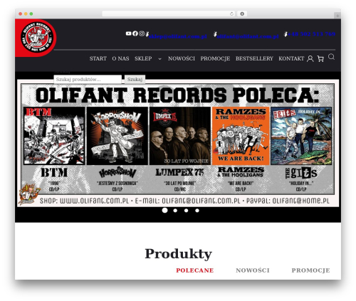 Dotspice.com WordPress theme - olifant.com.pl