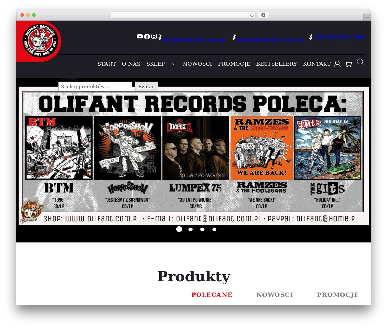 Dotspice.com WordPress theme - olifant.com.pl