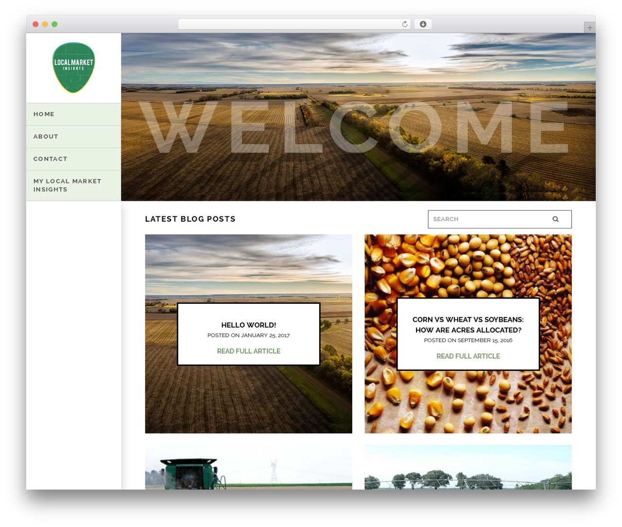 LMI WordPress theme - localmarketinsights.com