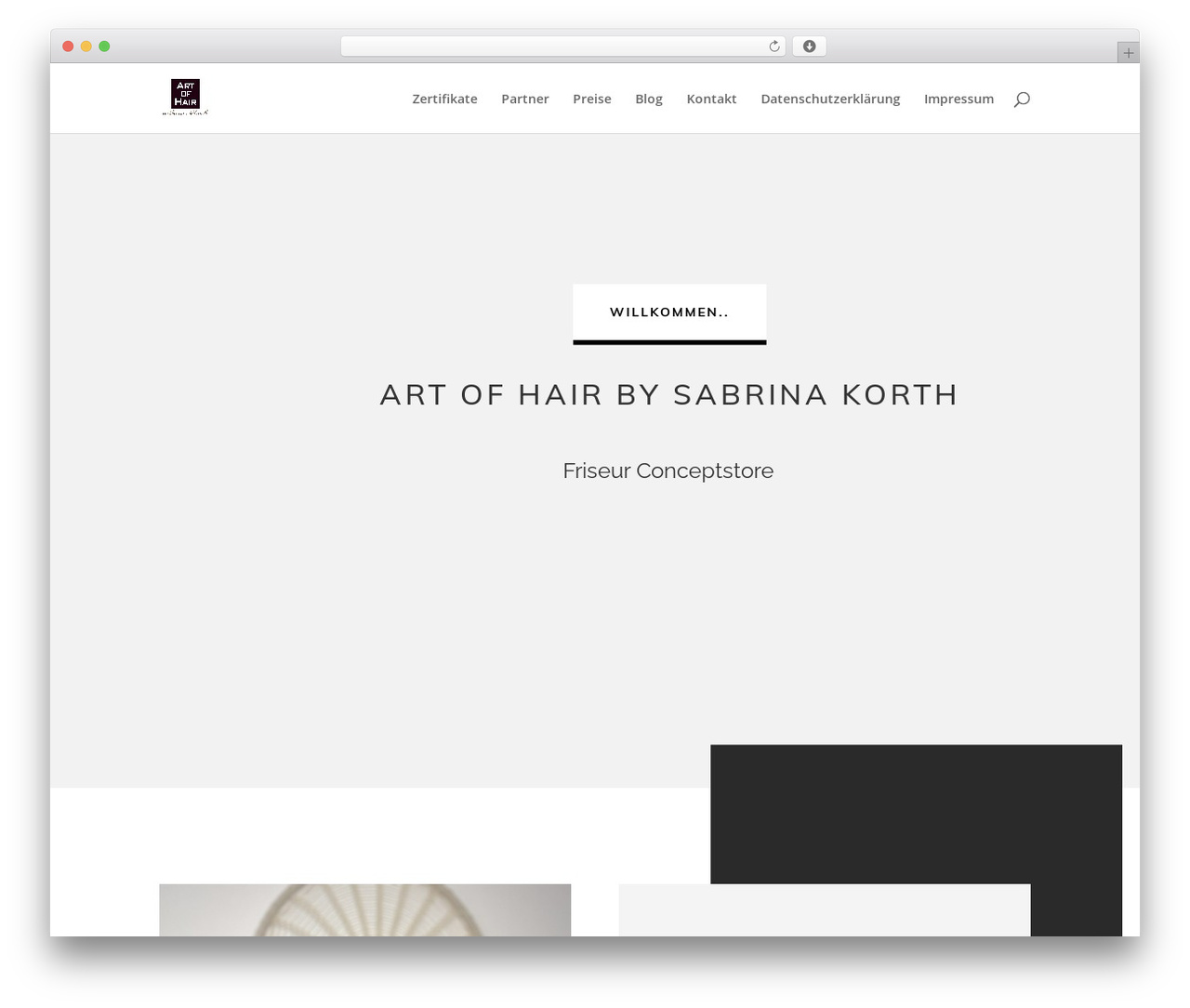 WordPress theme Divi - artofhair-sk.de WordPress theme Divi - artofhair-sk.de
