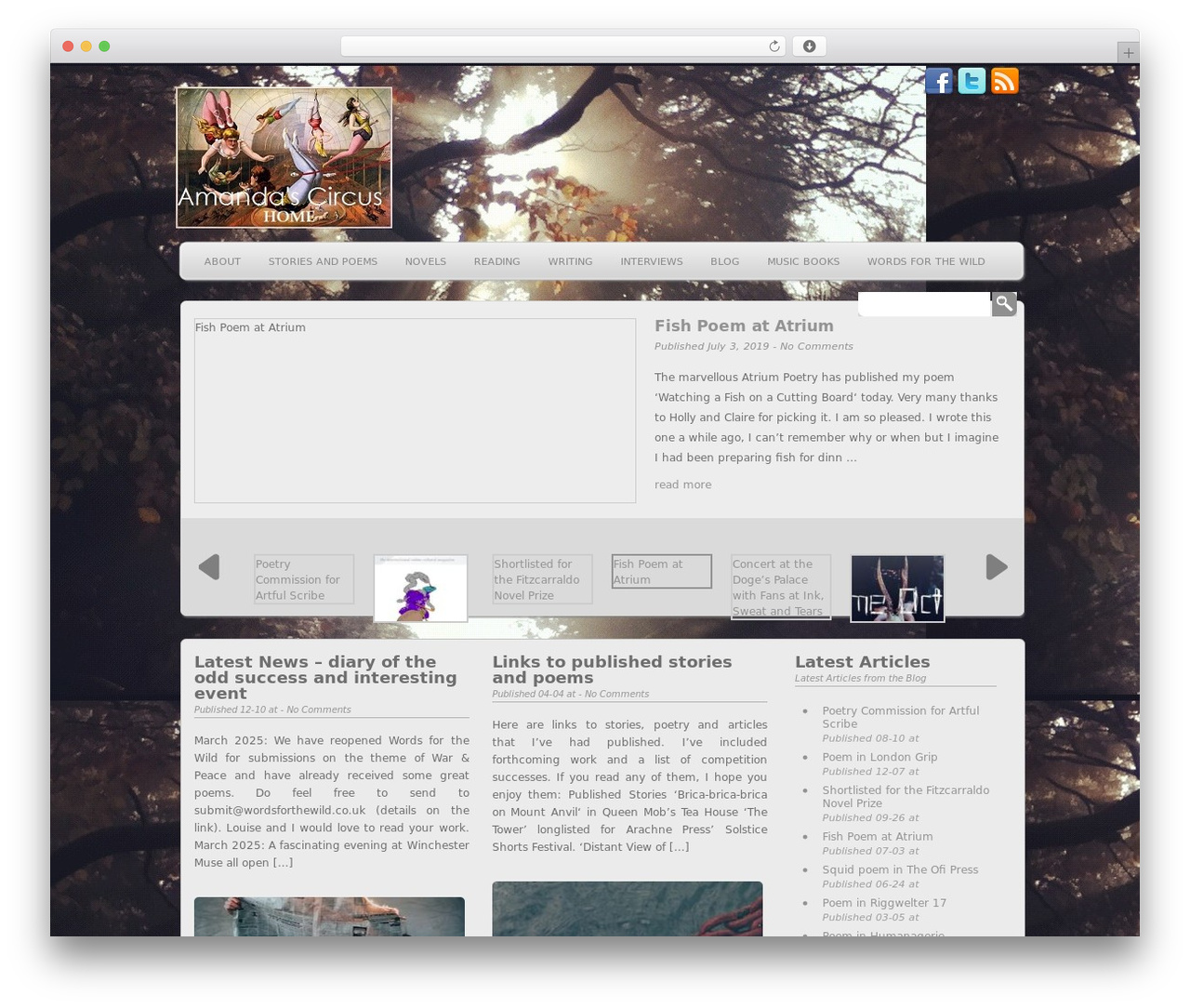 WP-Creativix WordPress theme - amandaoosthuizen.com