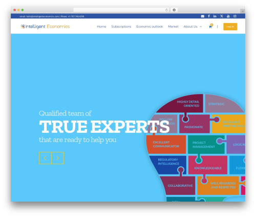 Cryptro top WordPress theme - intelligenteconomics.com