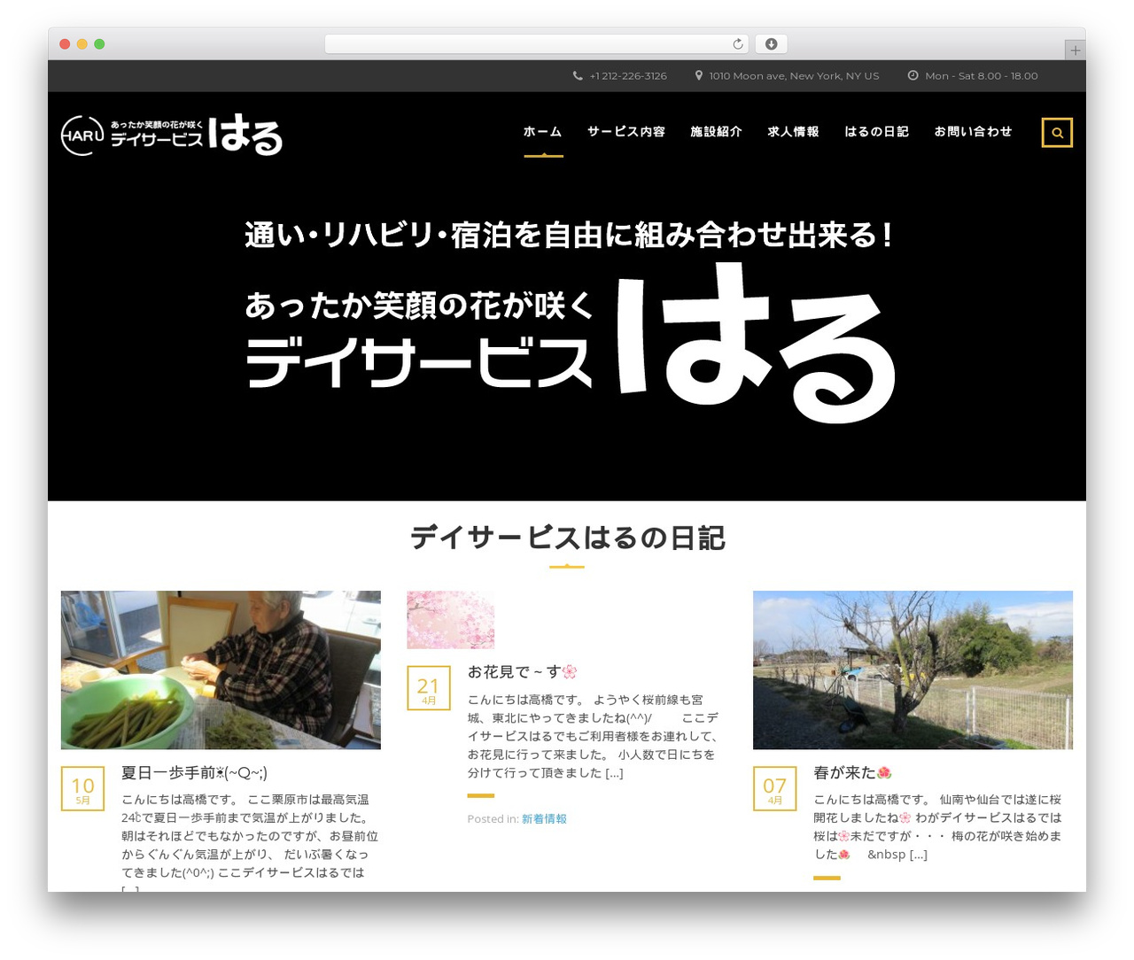 Master Study WordPress theme - haru-haru.jp
