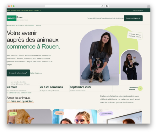 Theme WordPress Divi - supveto-rouen.com