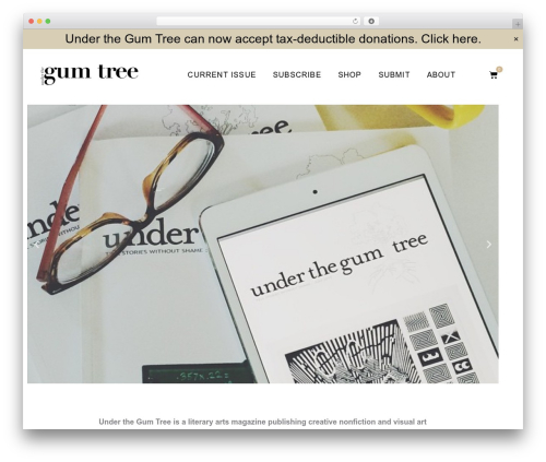 Analytics Insights for Google Analytics 4 (AIWP) (analytics-insights) free WordPress plugin - underthegumtree.com
