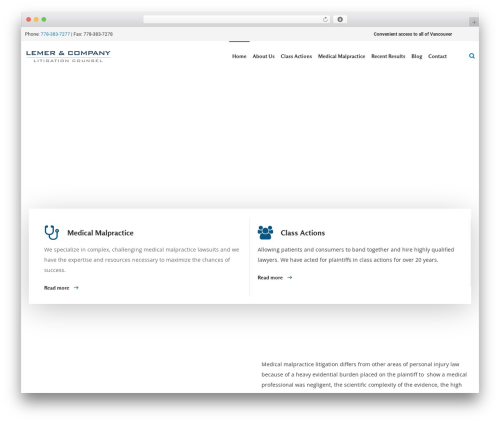 DFD Native WordPress theme - brucelemer.com