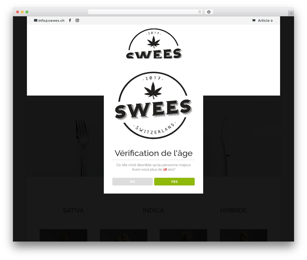 Divi theme WordPress - swees.ch