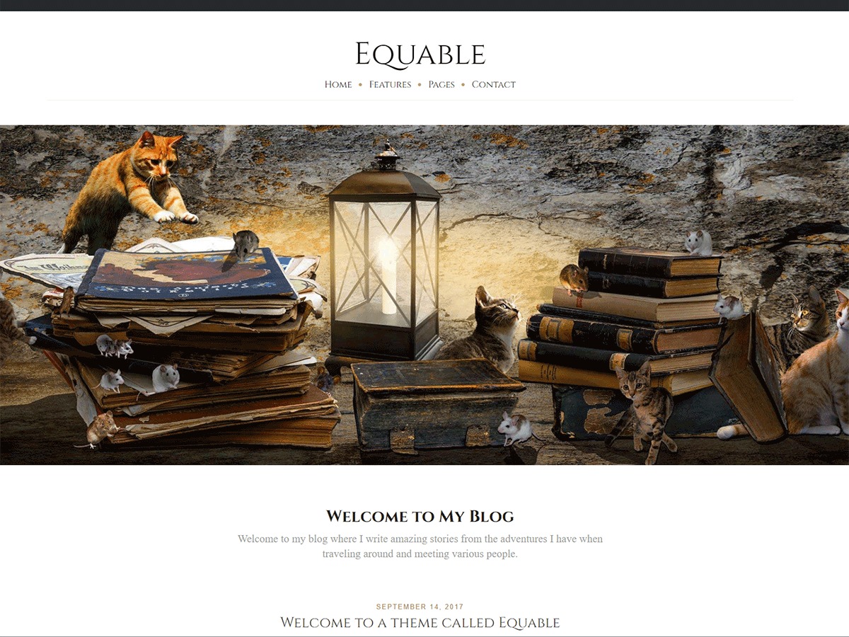 Equable Pro WordPress theme by Blogging Theme Styles