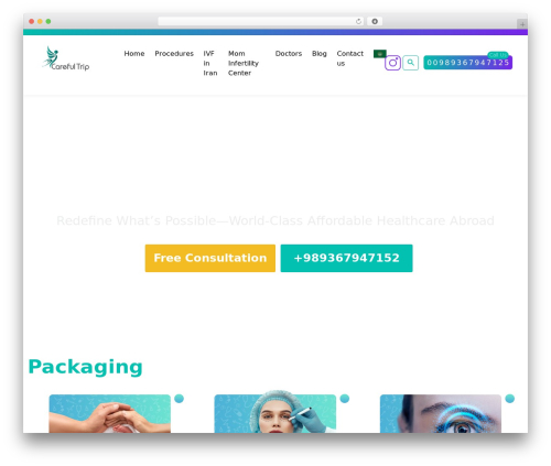HDMarketing WordPress theme - carefultrip.com
