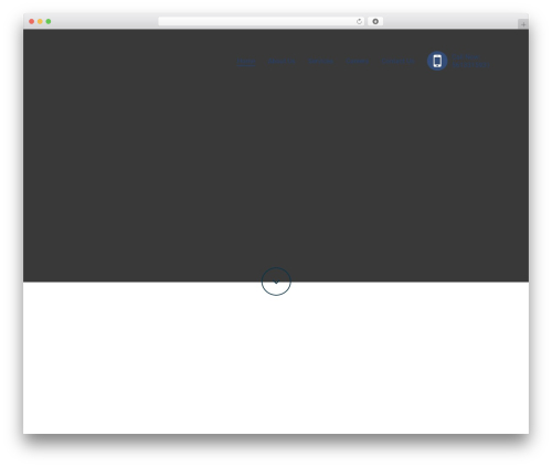 Gravitizer WordPress plugin - raphacompanionservices.com