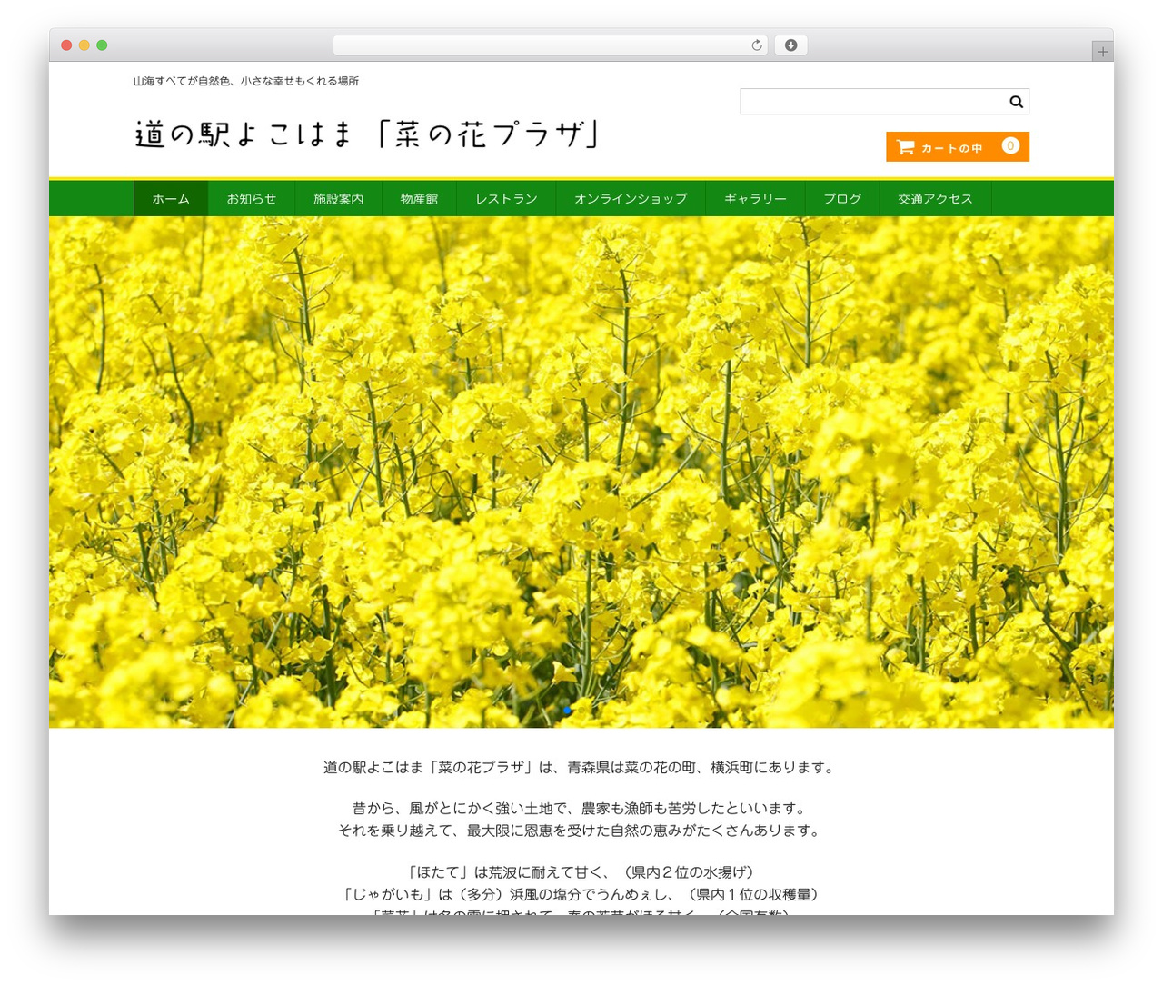 Welcart Basic WordPress theme - nanohana-plaza.com Welcart Basic WordPress theme - nanohana-plaza.com