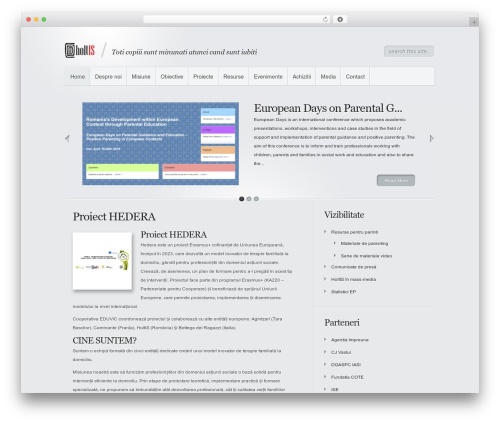 WordPress theme Minimal - holtis.ro