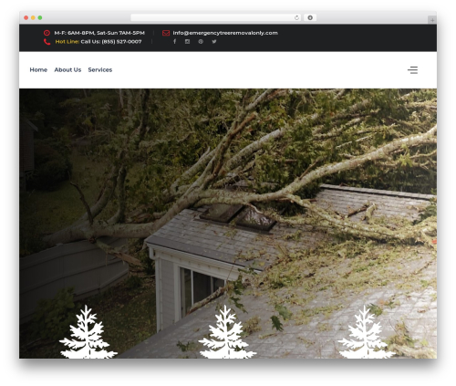WordPress website theme Roofplan - emergencytreeremovalonly.com