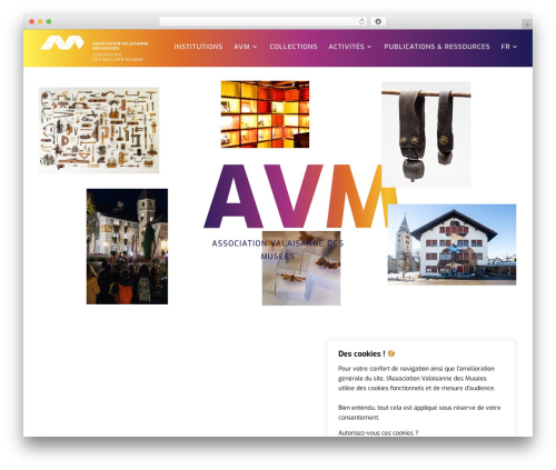 Divi mobile WordPress plugin - musees-vs.ch