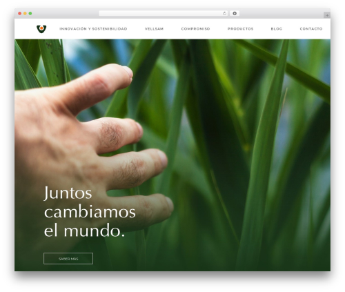 Halstein core WordPress plugin - vellsam.com