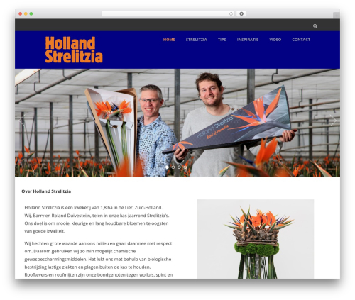 WordPress theme Optimizer PRO - hollandstrelitzia.nl