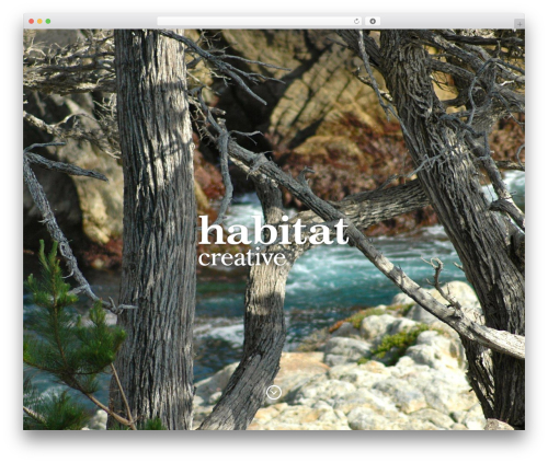 WP theme Baylie - habitatcreative.com