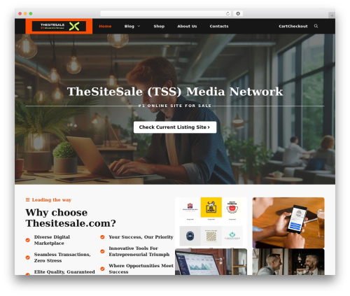 Helpful pro WordPress plugin - thesitesale.com
