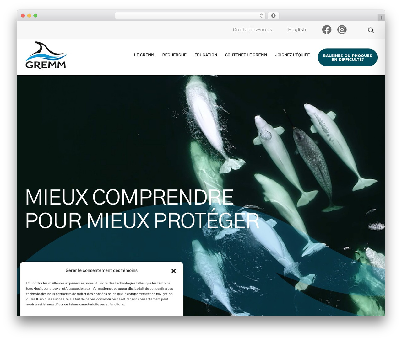 modules_base theme WordPress - gremm.org