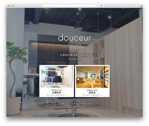 WordPress theme Douceur - hairdesign-douceur.com