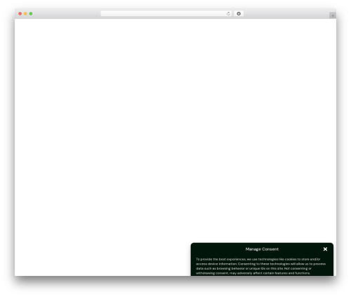 WordPress theme Codelibry Website - codelibry.com