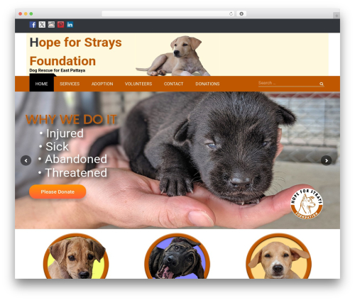 Contact Form Dashboard (contact-form-dashboard) free WordPress plugin - hopeforstrays.org Contact Form Dashboard (contact-form-dashboard) free WordPress plugin - hopeforstrays.org