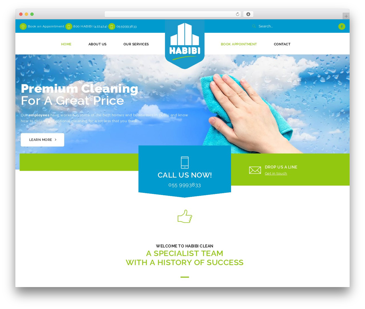WordPress theme Purify - habibiclean.com WordPress theme Purify - habibiclean.com