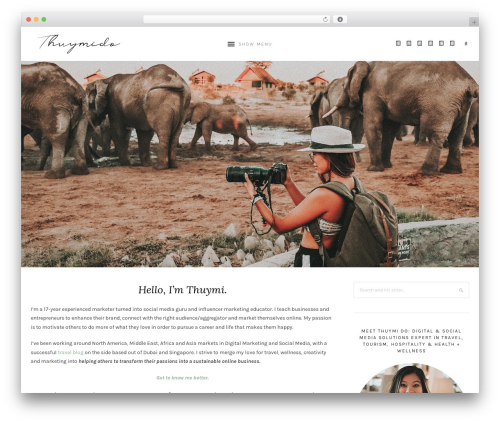 Best WordPress theme Laurel - thuymido.com