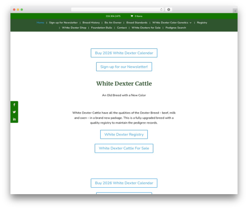 Jt divi material blurb WordPress plugin - whitedexter.com