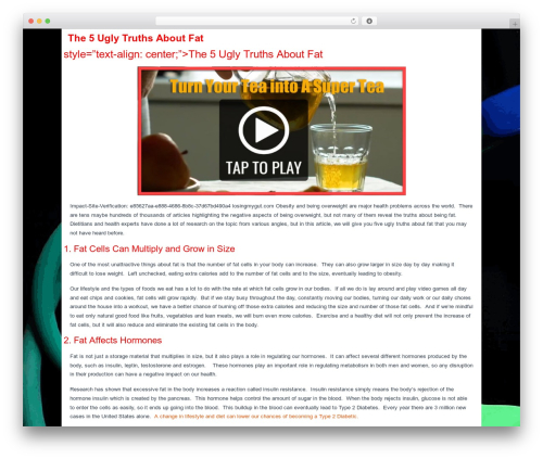 Slide voodoo WordPress plugin - losingmygut.com
