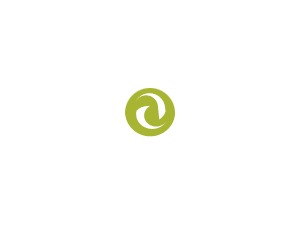 Theme WordPress Responsive Website