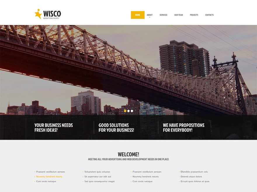 WordPress theme theme50907 by Template_Help.com