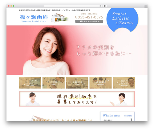 WordPress theme 篠ヶ瀬歯科 - sasagaseshika.com