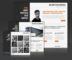 WordPress theme Temptation Wordpress by Celta Themes