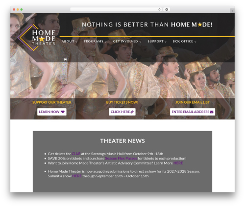 Divi business WordPress theme - homemadetheater.org