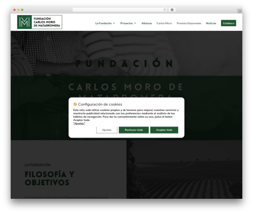 CAPTCHA 4WP (advanced-nocaptcha-recaptcha) free WordPress plugin - fundacioncarlosmoro.org