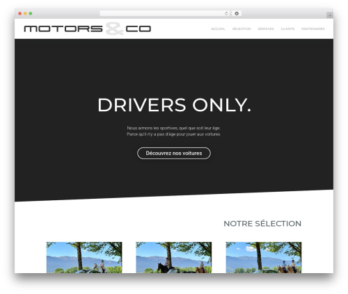 Magnific popup WordPress plugin - motors-co.ch
