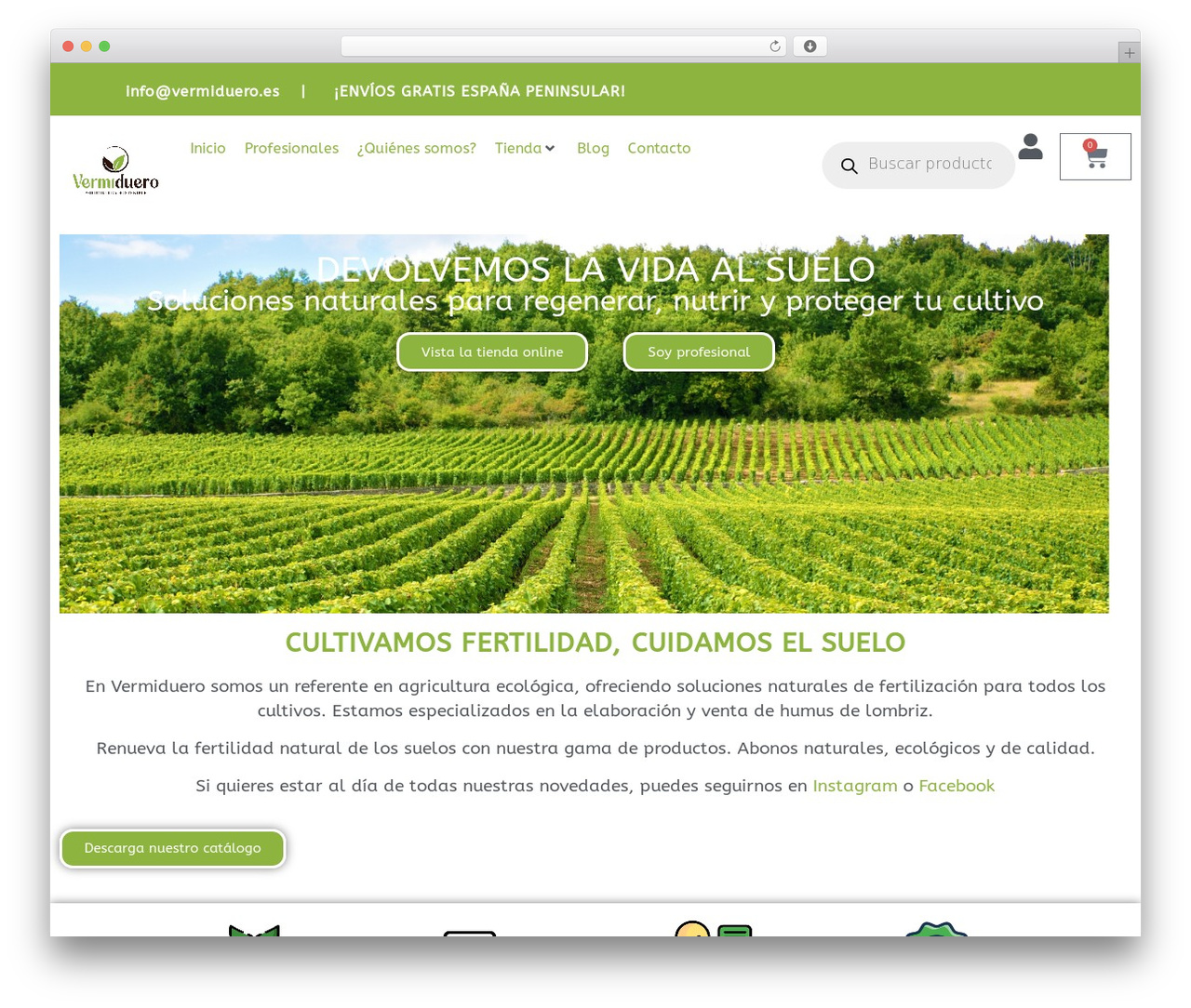 Hello Elementor theme WordPress - vermiduero.es