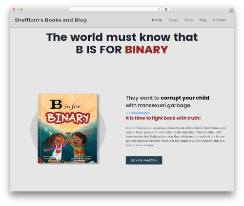 HT Newsletter for Elementor (ht-newsletter-for-elementor) free WordPress plugin - shefflornballantyne.com