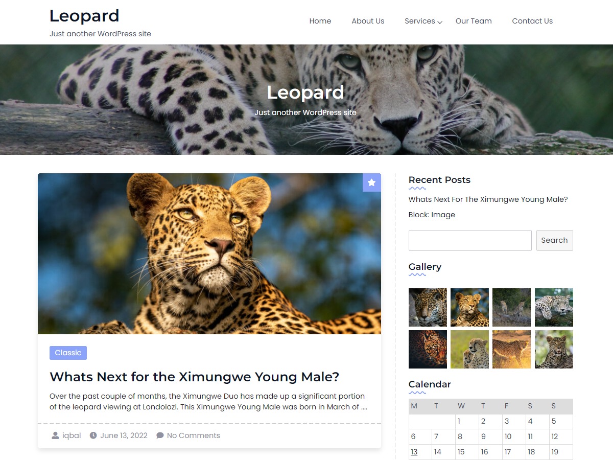 Leopard theme WordPress Leopard theme WordPress