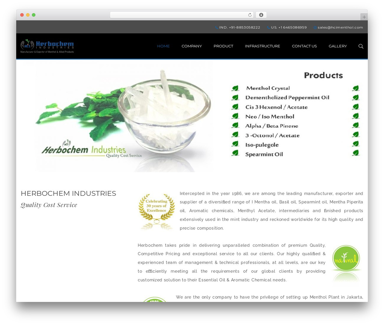 Megatron WordPress theme - hcimenthol.com