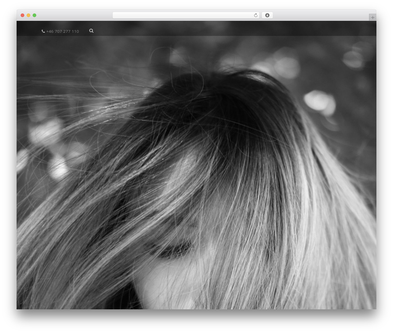 Optimizer PRO WordPress theme - haircoloristsweden.com