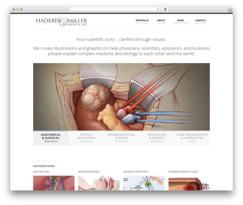 SmartStart WP - Responsive HTML5 Theme medical WordPress theme - haderermuller.com