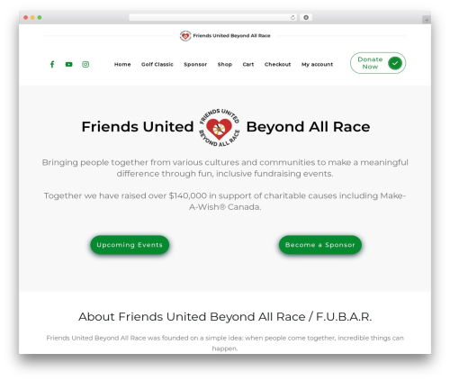Gallery video WordPress plugin - friendsunitedbeyondallrace.com